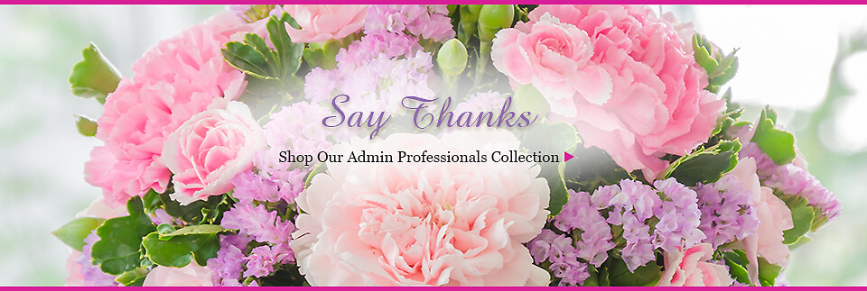 Admin Professionals Banner