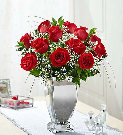 Premium Long Stem Red Roses in Silver Vase