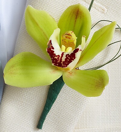 Beach Boutonniere Arrangement