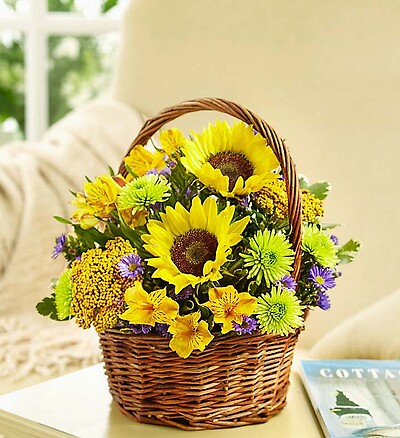 Fields of Europe&amp;trade; for Summer Basket