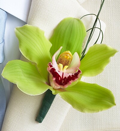 Beach Boutonniere Arrangement