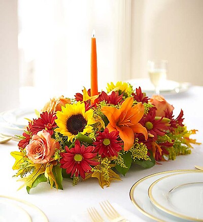 Fields of Europe&amp;trade; for Fall Centerpiece